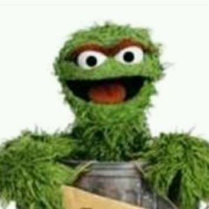 Meet your Posher, Alllison